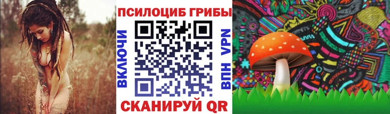 Галлюциногенные грибы Cubensis  цены   Переславль-Залесский 